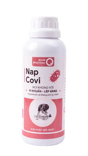 Nap Covi
