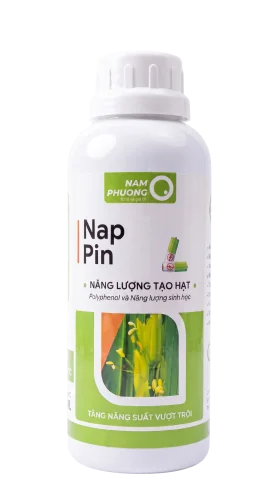 Nap Pin