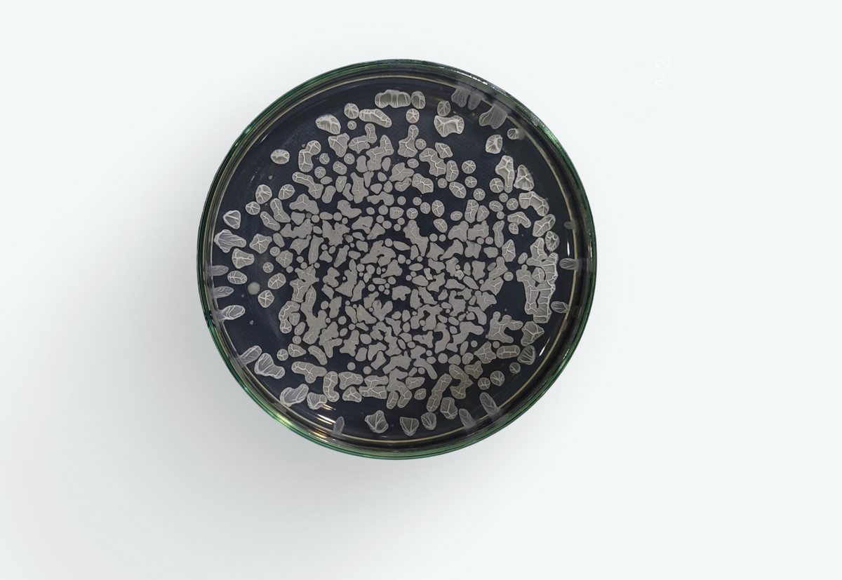Microbials