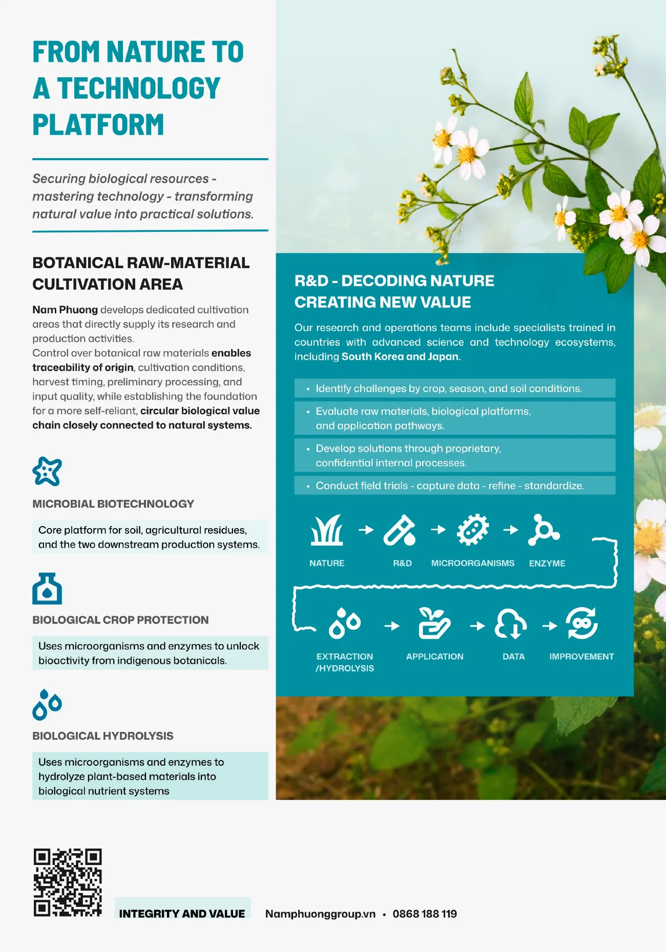Company profile – page 4