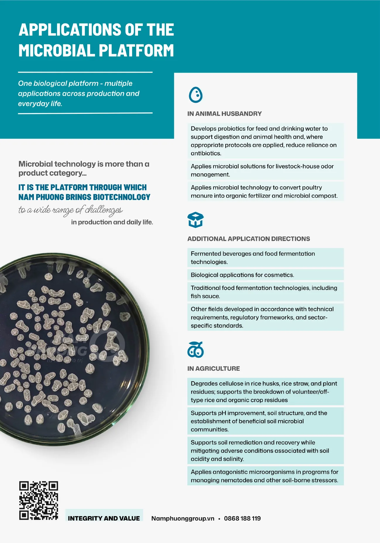 Company profile – page 6