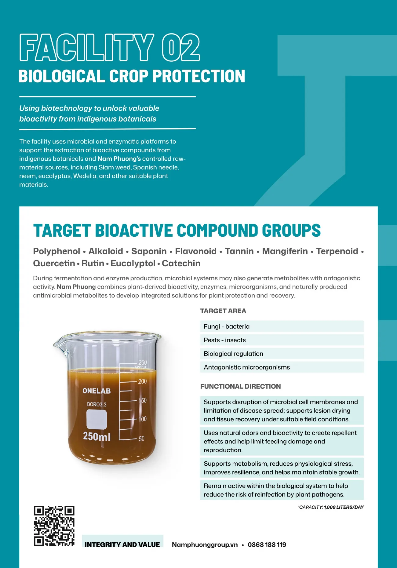 Company profile – page 7