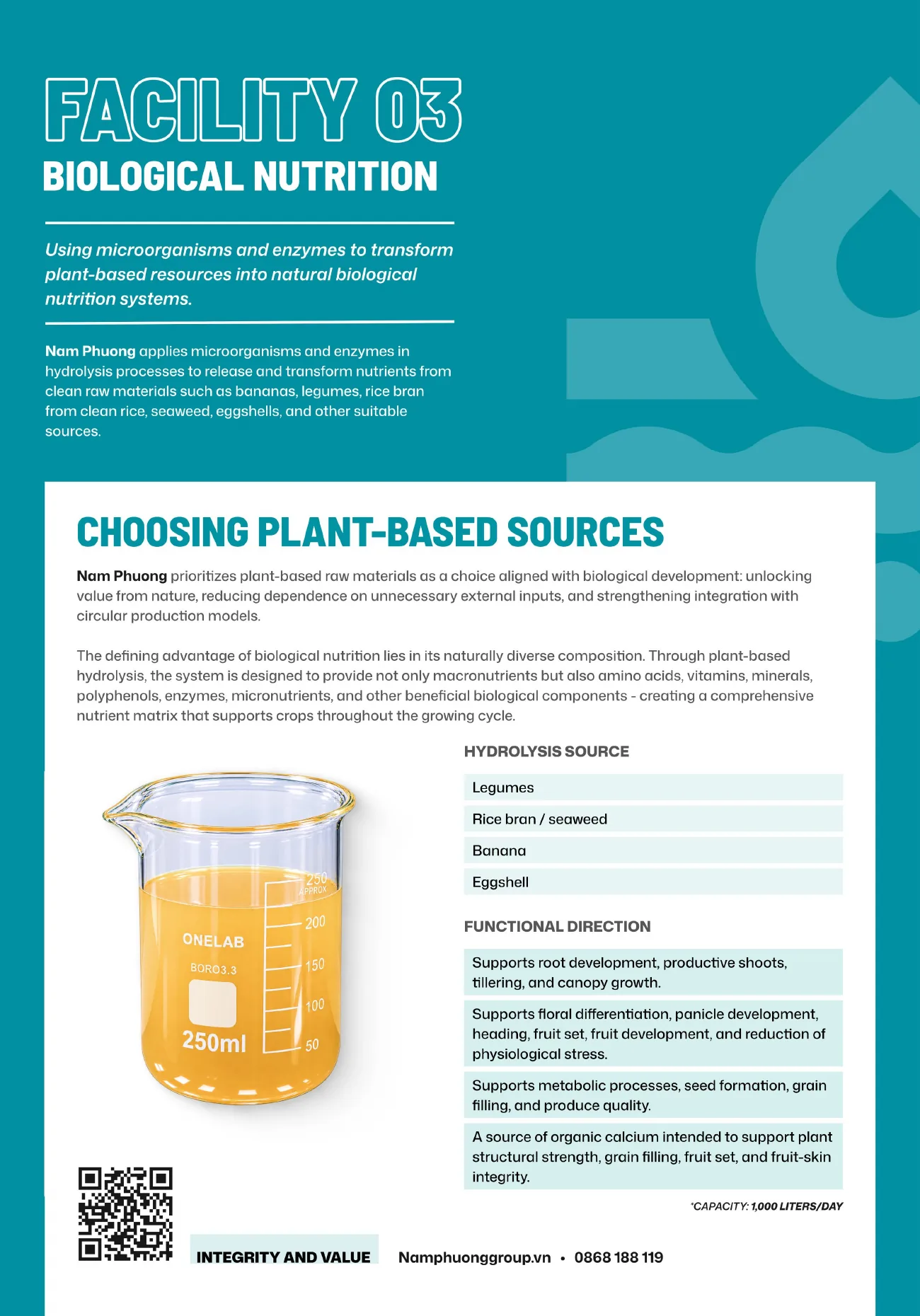 Company profile – page 8
