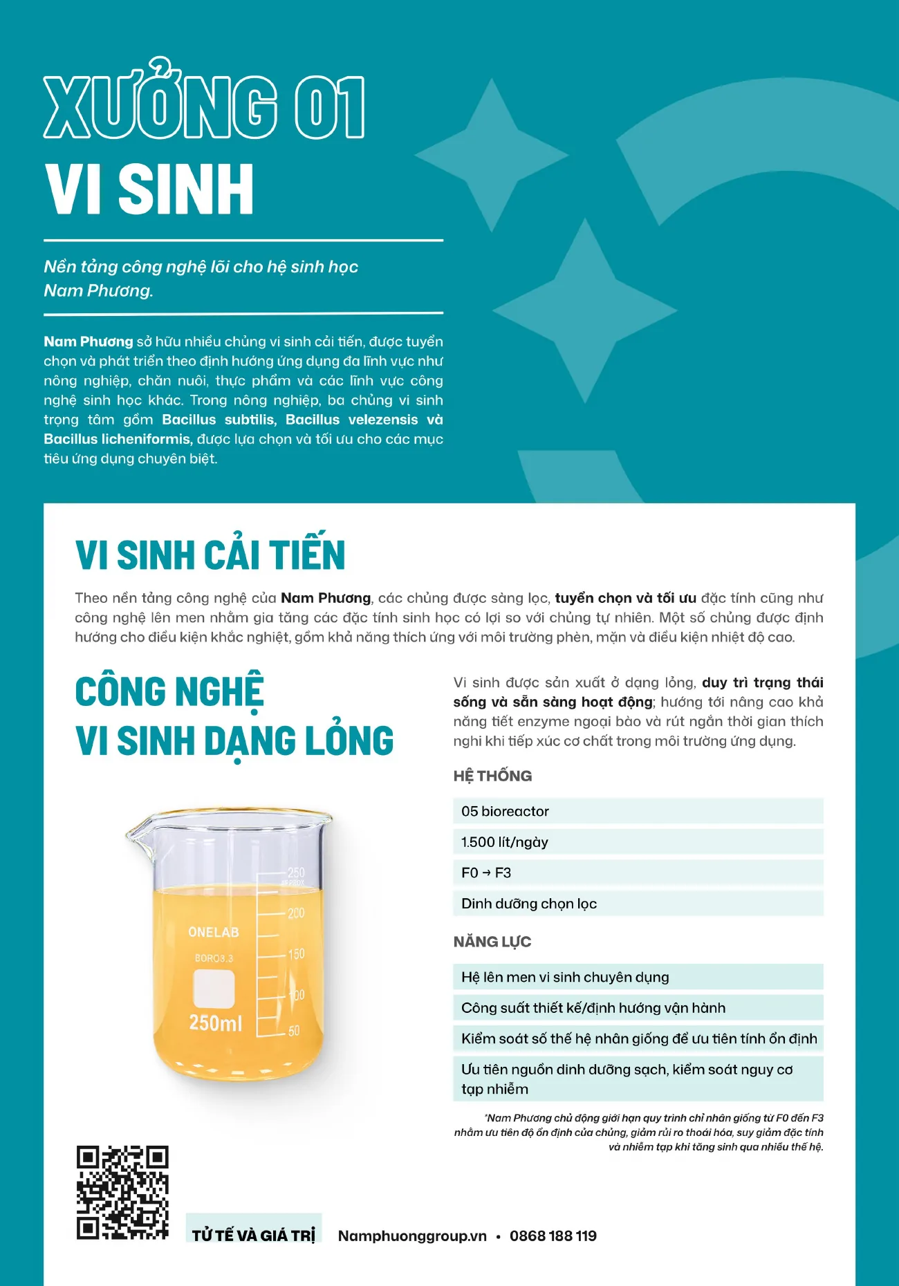 Hồ sơ năng lực – trang 5