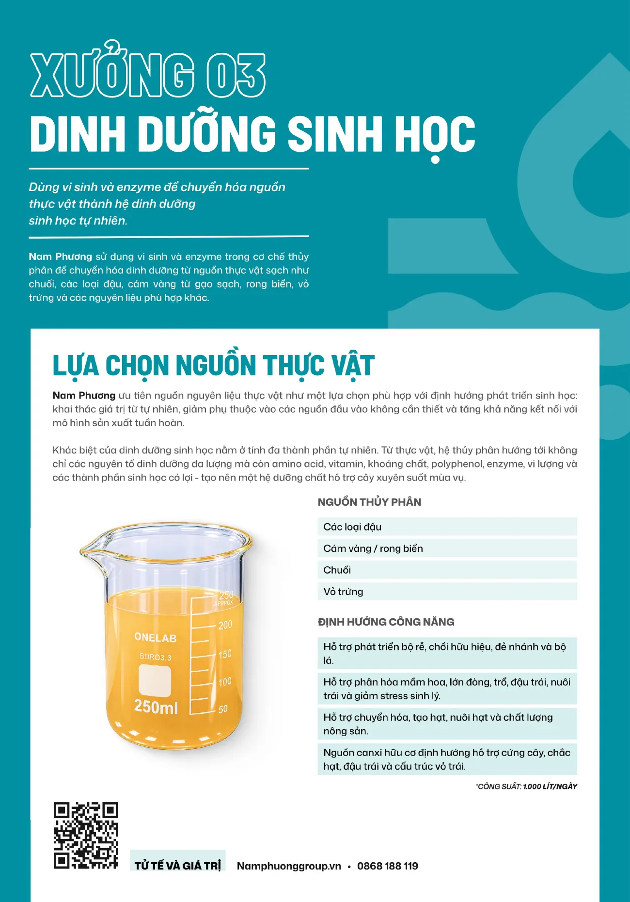 Hồ sơ năng lực – trang 8