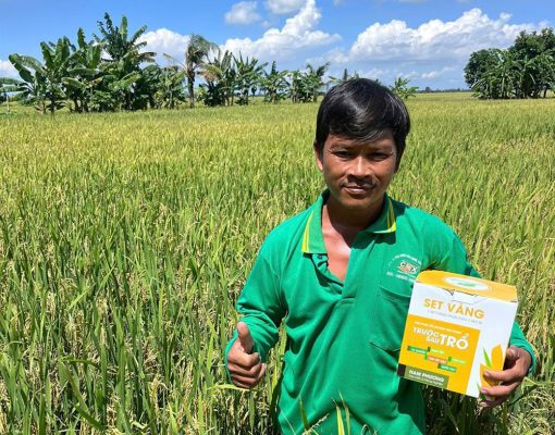 Ket-qua-thuc-te-su-dung-set-nap-vang-2